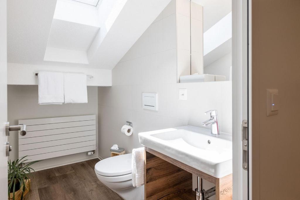 Brigerbad Hotel Zur Traube מראה חיצוני תמונה